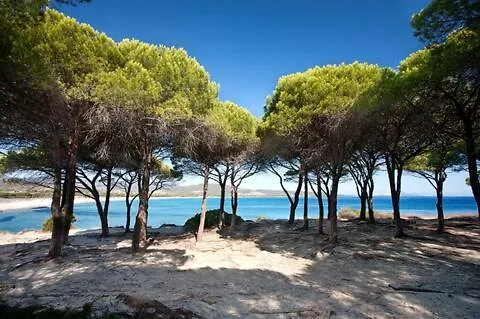 Oasi Di Pace Con Terrazzo - 5Min Spiaggia Budoni Brunella Appartamento